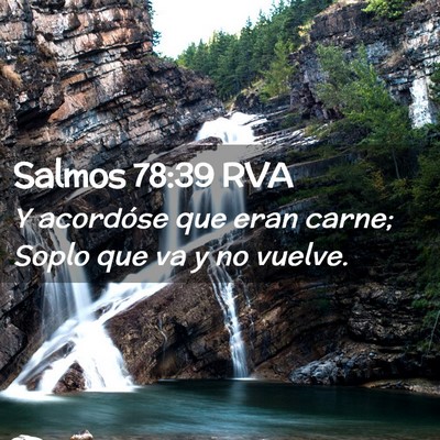 Picture 02 - Salmos 78:39 RVA - Y acordóse que eran carne; Soplo que va y no - Bible Verse Picture