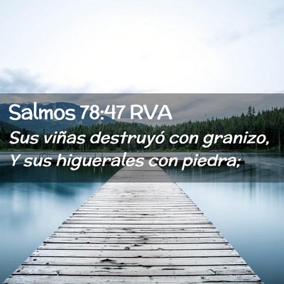 Picture 02 - Salmos 78:47 RVA - Sus viñas destruyó con granizo, Y sus - Bible Verse Picture