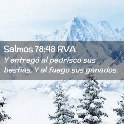 Picture 02 - Salmos 78:48 RVA - Y entregó al pedrisco sus bestias, Y al fuego - Bible Verse Picture
