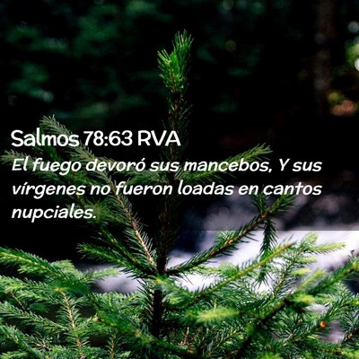 Picture 02 - Salmos 78:63 RVA - El fuego devoró sus mancebos, Y sus vírgenes no - Bible Verse Picture