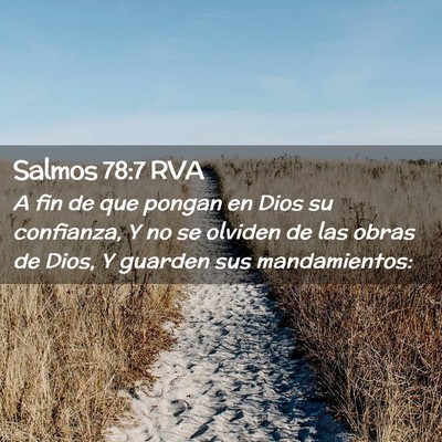 Picture 02 - Salmos 78:7 RVA - A fin de que pongan en Dios su confianza, Y no se - Bible Verse Picture