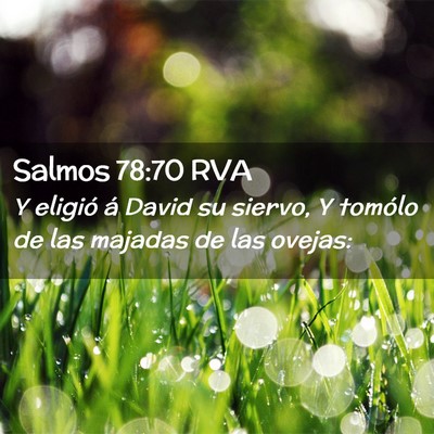 Picture 02 - Salmos 78:70 RVA - Y eligió á David su siervo, Y tomólo de las - Bible Verse Picture