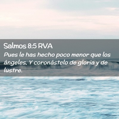 Picture 02 - Salmos 8:5 RVA - Pues le has hecho poco menor que los ángeles, Y - Bible Verse Picture