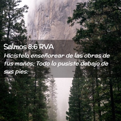 Picture 02 - Salmos 8:6 RVA - Hicístelo enseñorear de las obras de tus manos; - Bible Verse Picture
