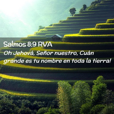 Picture 02 - Salmos 8:9 RVA - Oh Jehová, Señor nuestro, ­Cuán grande es tu - Bible Verse Picture
