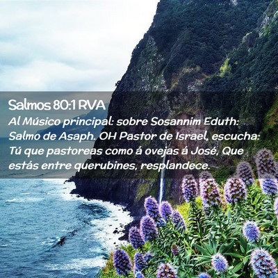 Picture 02 - Salmos 80:1 RVA - Al Músico principal: sobre Sosannim Eduth: Salmo - Bible Verse Picture