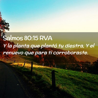 Picture 02 - Salmos 80:15 RVA - Y la planta que plantó tu diestra, Y el renuevo - Bible Verse Picture