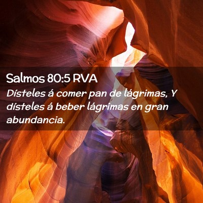 Picture 02 - Salmos 80:5 RVA - Dísteles á comer pan de lágrimas, Y dísteles - Bible Verse Picture