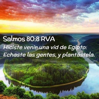 Picture 02 - Salmos 80:8 RVA - Hiciste venir una vid de Egipto: Echaste las - Bible Verse Picture