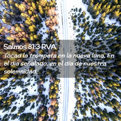 Picture 02 - Salmos 81:3 RVA - Tocad la trompeta en la nueva luna, En el día - Bible Verse Picture