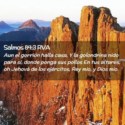 Picture 02 - Salmos 84:3 RVA - Aun el gorrión halla casa, Y la golondrina nido - Bible Verse Picture