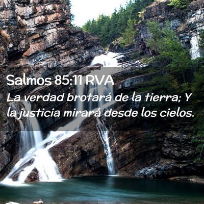 Picture 02 - Salmos 85:11 RVA - La verdad brotará de la tierra; Y la justicia - Bible Verse Picture