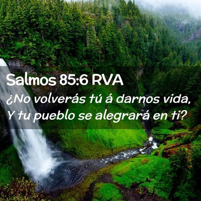 Picture 02 - Salmos 85:6 RVA - ¿No volverás tú á darnos vida, Y tu pueblo se - Bible Verse Picture