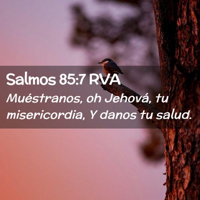 Picture 02 - Salmos 85:7 RVA - Muéstranos, oh Jehová, tu misericordia, Y danos - Bible Verse Picture