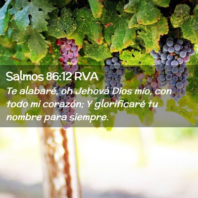 Picture 02 - Salmos 86:12 RVA - Te alabaré, oh Jehová Dios mío, con todo mi - Bible Verse Picture