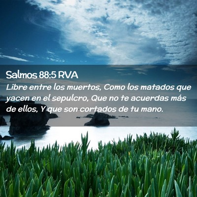 Picture 02 - Salmos 88:5 RVA - Libre entre los muertos, Como los matados que - Bible Verse Picture