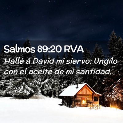 Picture 02 - Salmos 89:20 RVA - Hallé á David mi siervo; Ungílo con el aceite - Bible Verse Picture