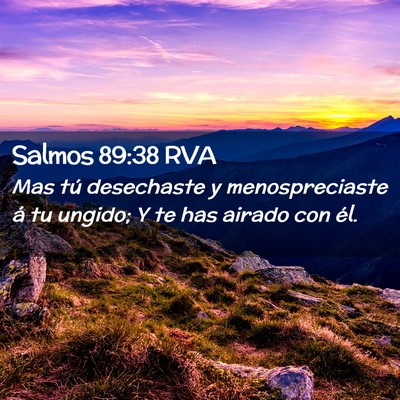 Picture 02 - Salmos 89:38 RVA - Mas tú desechaste y menospreciaste á tu ungido; - Bible Verse Picture