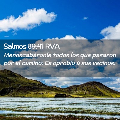 Picture 02 - Salmos 89:41 RVA - Menoscabáronle todos los que pasaron por el - Bible Verse Picture