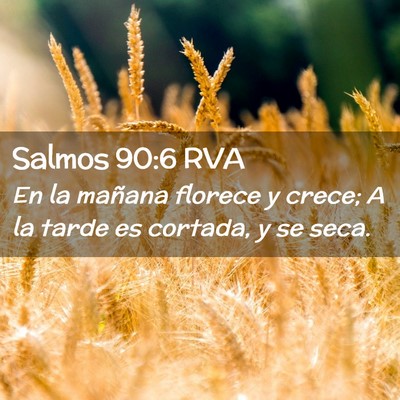Picture 02 - Salmos 90:6 RVA - En la mañana florece y crece; A la tarde es - Bible Verse Picture