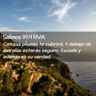 Picture 02 - Salmos 91:4 RVA - Con sus plumas te cubrirá, Y debajo de sus alas - Bible Verse Picture