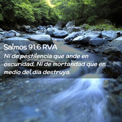 Picture 02 - Salmos 91:6 RVA - Ni de pestilencia que ande en oscuridad, Ni de - Bible Verse Picture