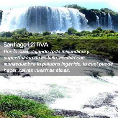 Picture 02 - Santiago 1:21 RVA - Por lo cual, dejando toda inmundicia y - Bible Verse Picture