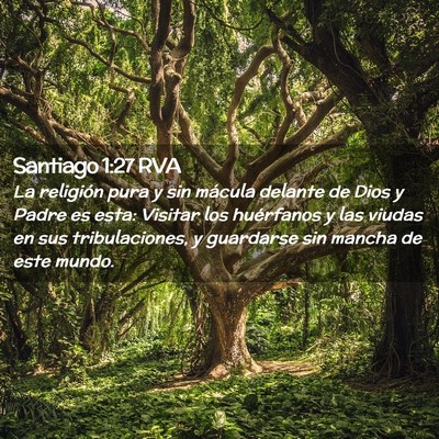 Picture 02 - Santiago 1:27 RVA - La religión pura y sin mácula delante de Dios y - Bible Verse Picture