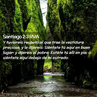 Picture 02 - Santiago 2:3 RVA - Y tuviereis respeto al que trae la vestidura - Bible Verse Picture