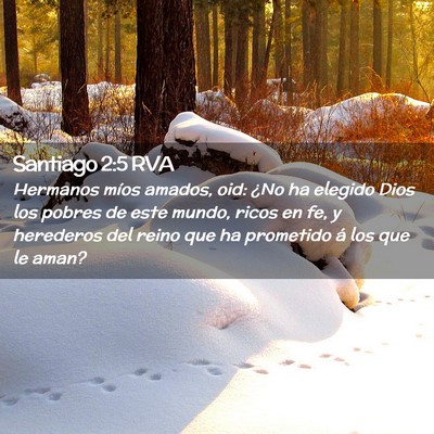Picture 02 - Santiago 2:5 RVA - Hermanos míos amados, oid: ¿No ha elegido Dios - Bible Verse Picture