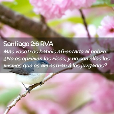 Picture 02 - Santiago 2:6 RVA - Mas vosotros habéis afrentado al pobre. ¿No os - Bible Verse Picture