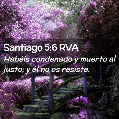Picture 02 - Santiago 5:6 RVA - Habéis condenado y muerto al justo; y él no os - Bible Verse Picture