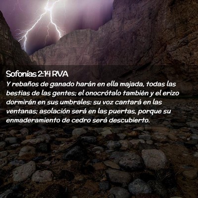 Picture 02 - Sofonías 2:14 RVA - Y rebaños de ganado harán en ella majada, todas - Bible Verse Picture