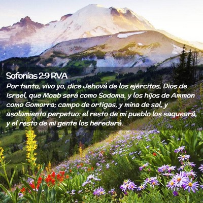 Picture 02 - Sofonías 2:9 RVA - Por tanto, vivo yo, dice Jehová de los - Bible Verse Picture