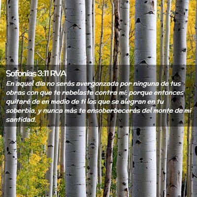 Picture 02 - Sofonías 3:11 RVA - En aquel día no serás avergonzada por ninguna - Bible Verse Picture