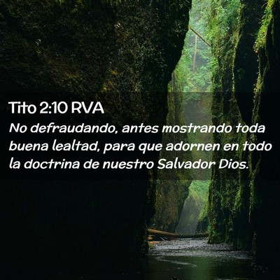Picture 02 - Tito 2:10 RVA - No defraudando, antes mostrando toda buena - Bible Verse Picture