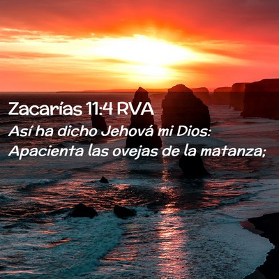 Picture 02 - Zacarías 11:4 RVA - Así ha dicho Jehová mi Dios: Apacienta las - Bible Verse Picture