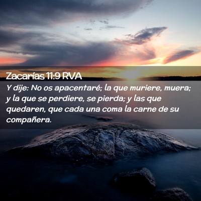 Picture 02 - Zacarías 11:9 RVA - Y dije: No os apacentaré; la que muriere, muera; - Bible Verse Picture