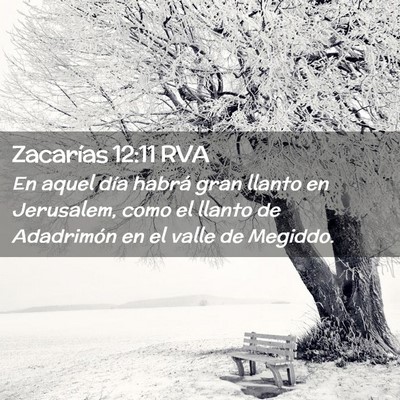 Picture 02 - Zacarías 12:11 RVA - En aquel día habrá gran llanto en Jerusalem, - Bible Verse Picture
