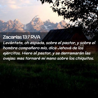 Picture 02 - Zacarías 13:7 RVA - Levántate, oh espada, sobre el pastor, y sobre - Bible Verse Picture