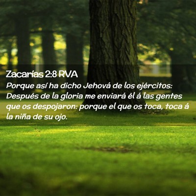 Picture 02 - Zacarías 2:8 RVA - Porque así ha dicho Jehová de los ejércitos: - Bible Verse Picture
