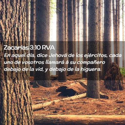 Picture 02 - Zacarías 3:10 RVA - En aquel día, dice Jehová de los ejércitos, - Bible Verse Picture