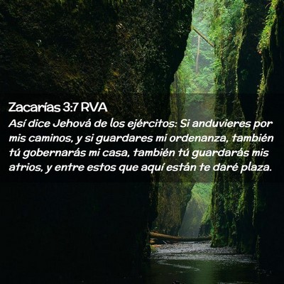 Picture 02 - Zacarías 3:7 RVA - Así dice Jehová de los ejércitos: Si - Bible Verse Picture