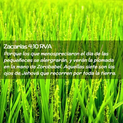 Picture 02 - Zacarías 4:10 RVA - Porque los que menospreciaron el día de las - Bible Verse Picture