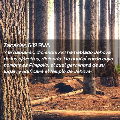 Picture 02 - Zacarías 6:12 RVA - Y le hablarás, diciendo: Así ha hablado Jehová - Bible Verse Picture