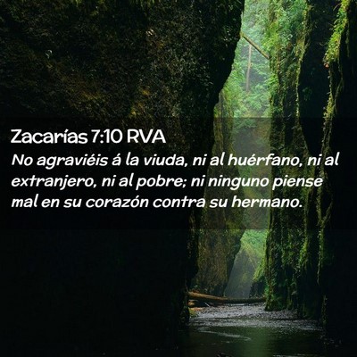 Picture 02 - Zacarías 7:10 RVA - No agraviéis á la viuda, ni al huérfano, ni al - Bible Verse Picture