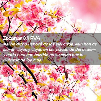 Picture 02 - Zacarías 8:4 RVA - Así ha dicho Jehová de los ejércitos: Aun han - Bible Verse Picture