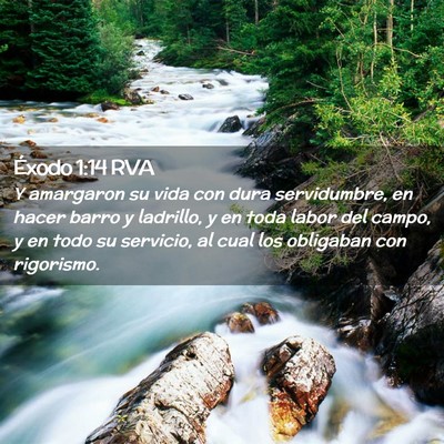Picture 02 - Éxodo 1:14 RVA - Y amargaron su vida con dura servidumbre, en - Bible Verse Picture