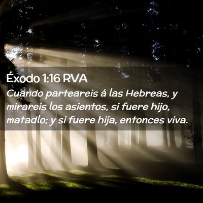 Picture 02 - Éxodo 1:16 RVA - Cuando parteareis á las Hebreas, y mirareis los - Bible Verse Picture