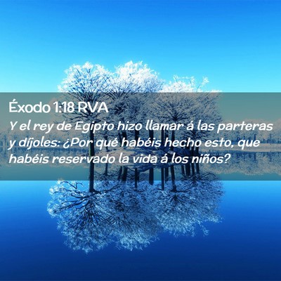 Picture 02 - Éxodo 1:18 RVA - Y el rey de Egipto hizo llamar á las parteras y - Bible Verse Picture